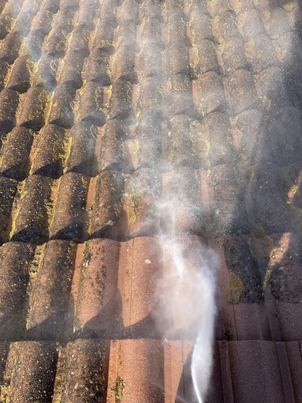 Démoussage de toiture en tuiles